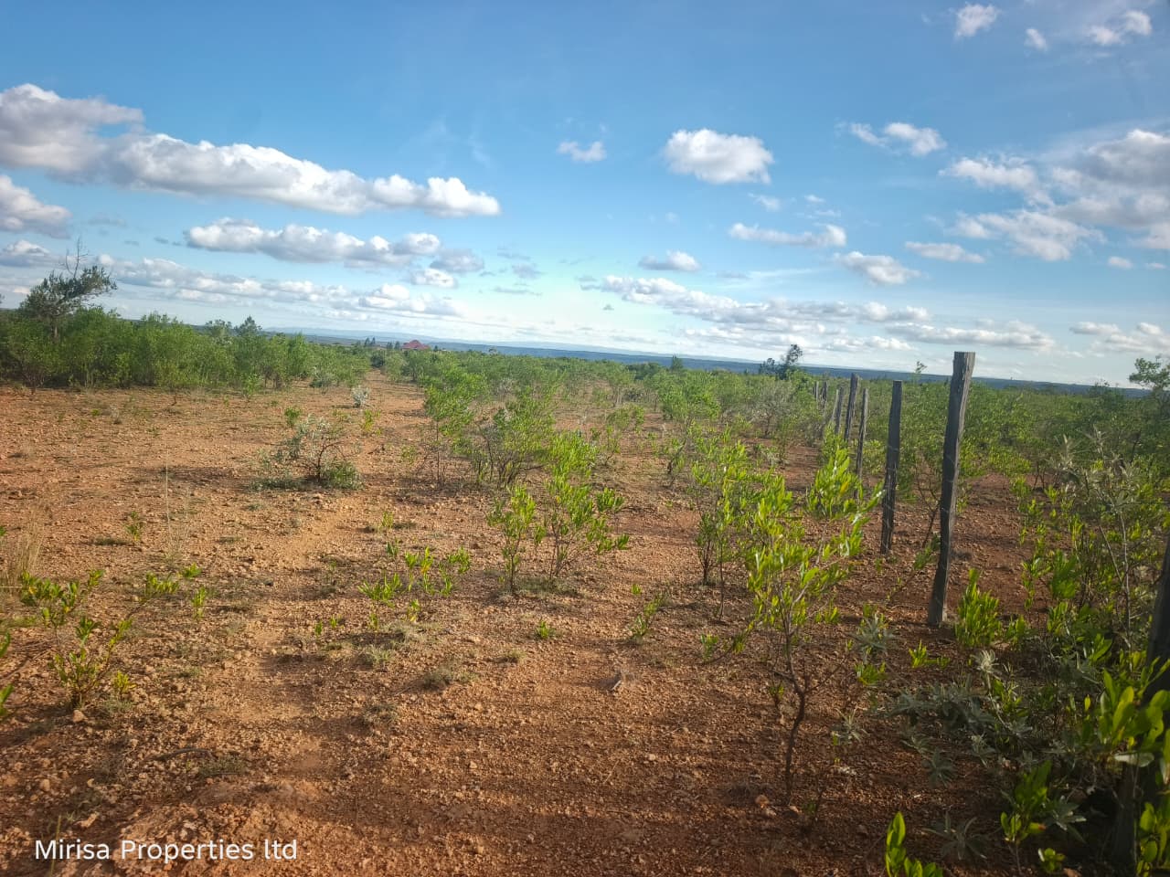 Eore-Ekule 3-acre land Narok thumbnail 1 – parcel overview