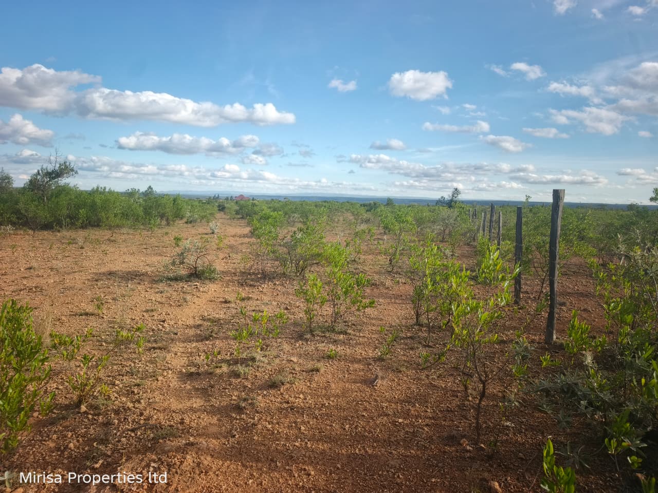 Eore-Ekule 3-acre land Narok thumbnail 4 – countryside view