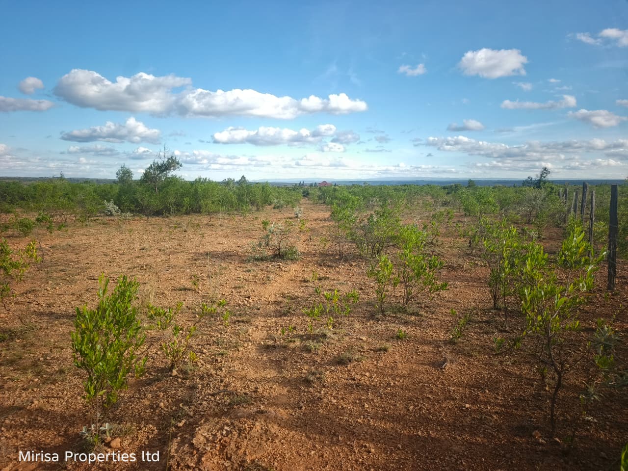 Eore-Ekule 3-acre land Narok thumbnail 5 – investment parcel