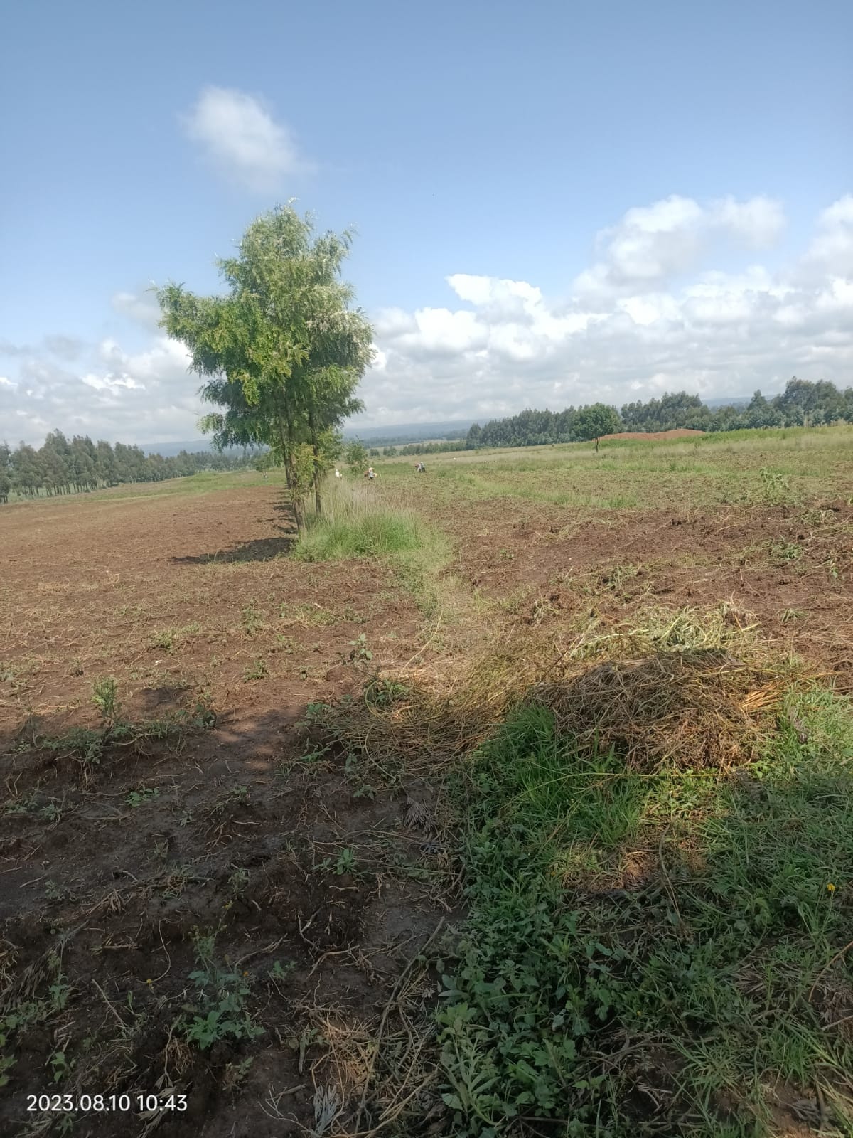 Mairo-Inya 40 acres thumbnail 4