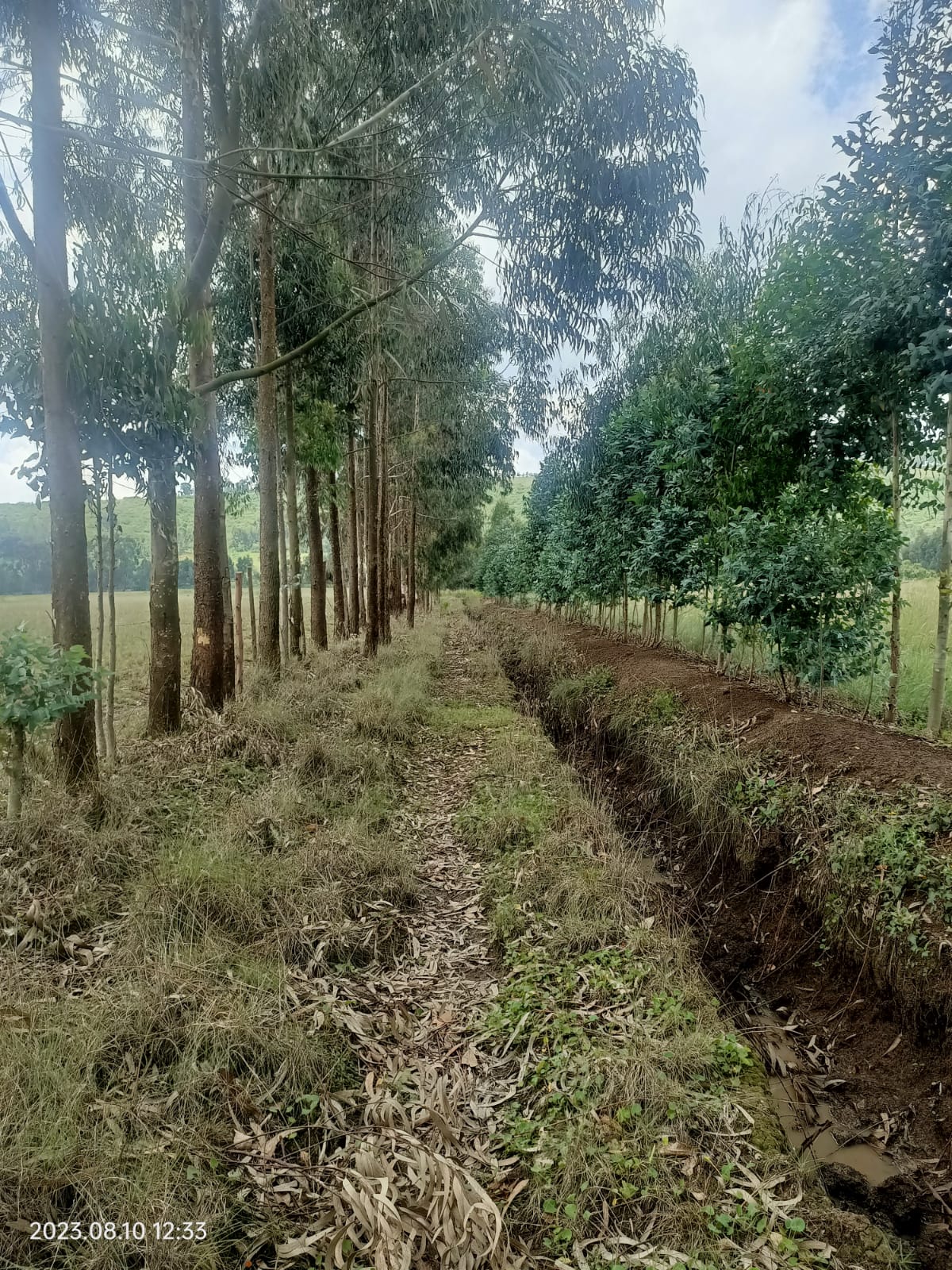 Mairo-Inya 40 acres thumbnail 5