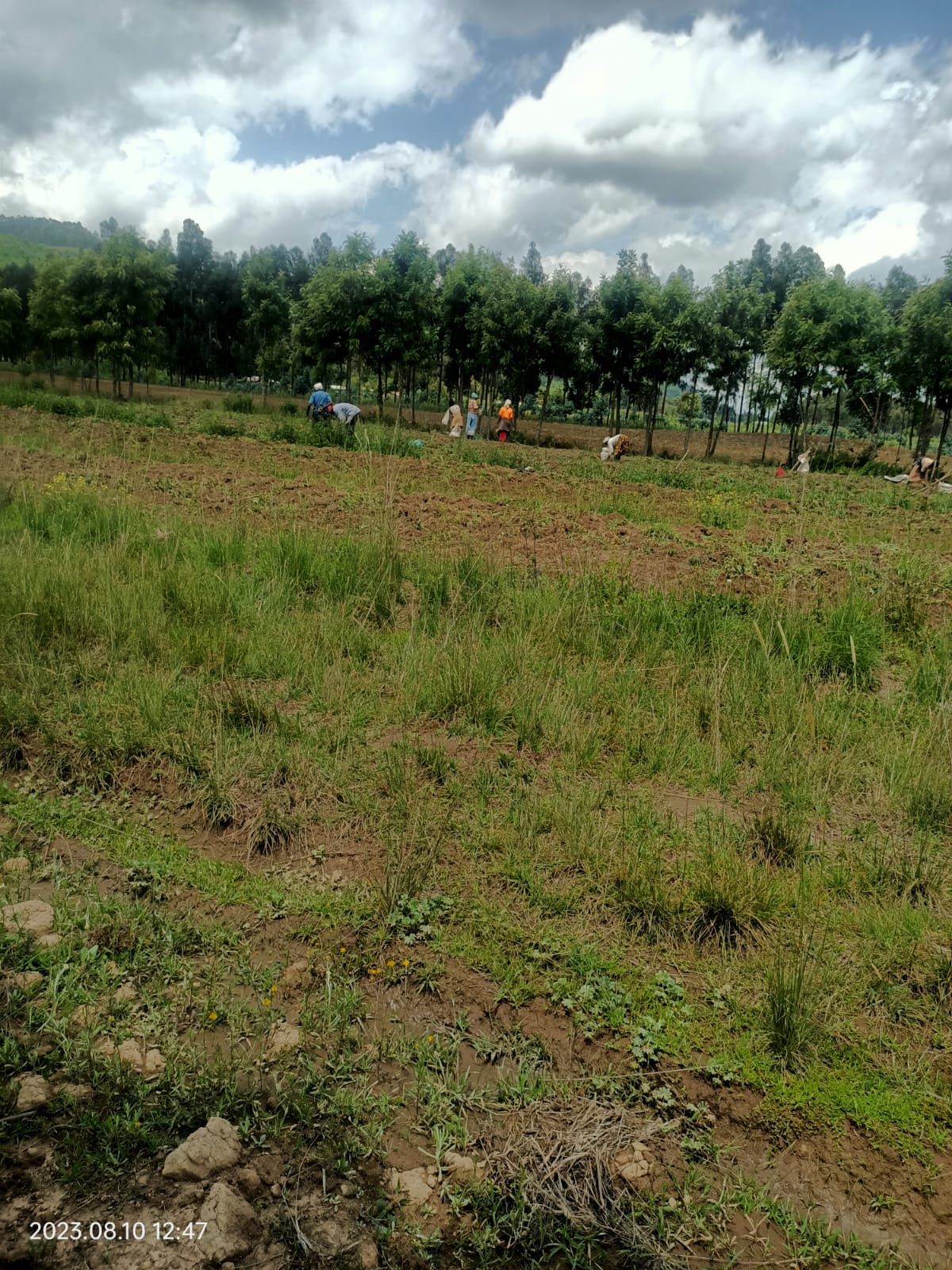 Mairo-Inya 40 acres thumbnail 6
