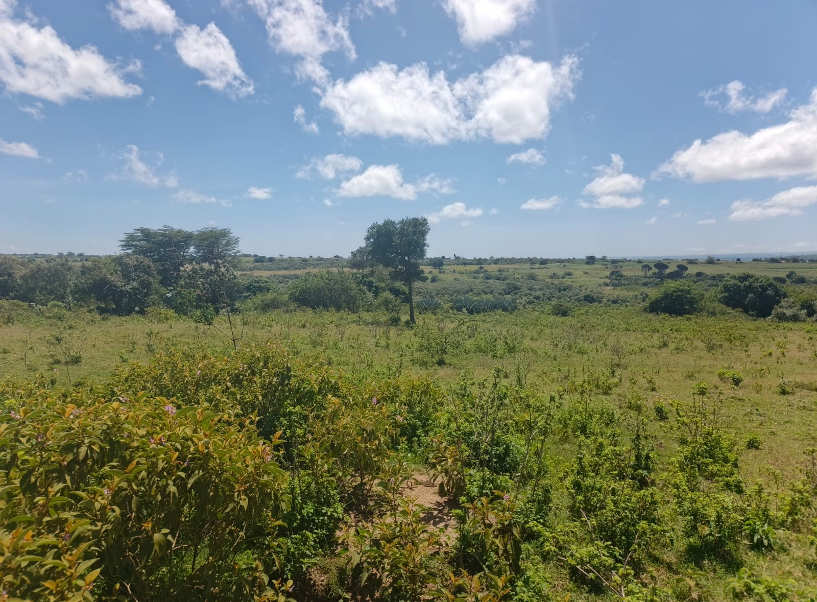 land for sale Nkairamram Narok – 3 acres freehold 7km from CBD
