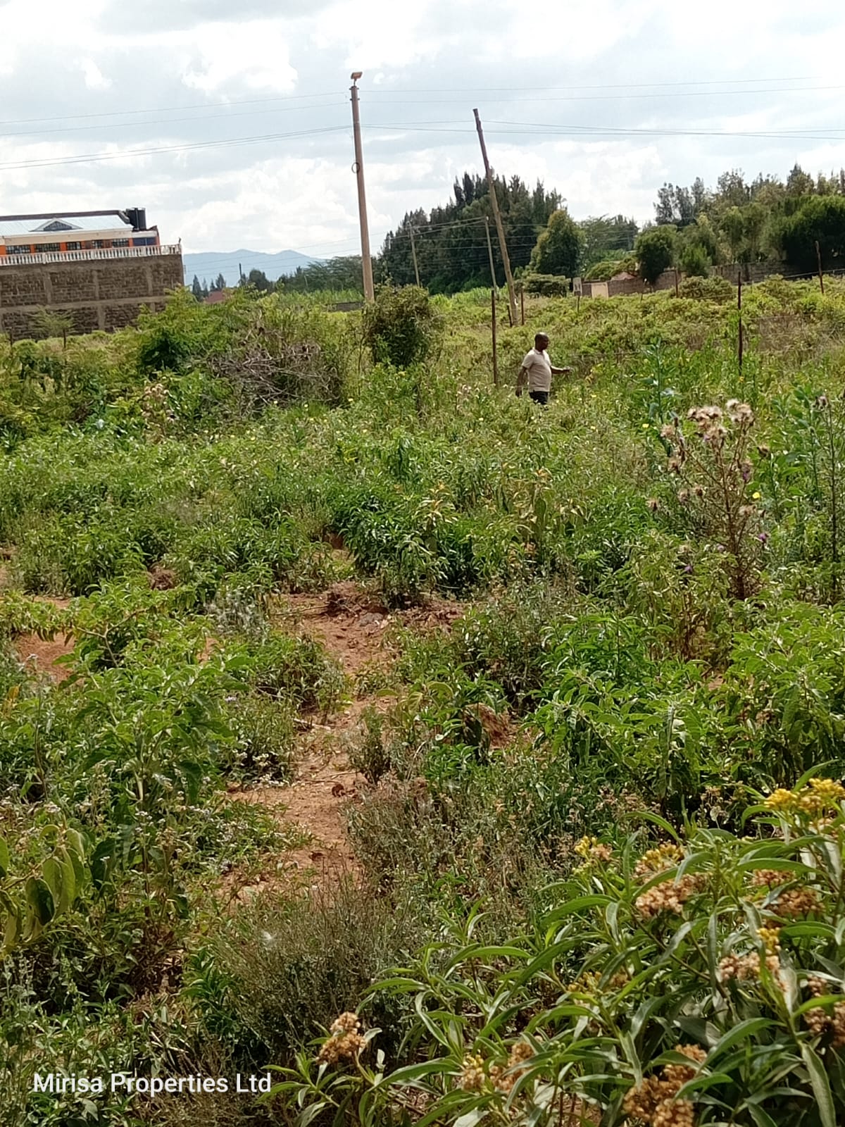 Commercial plots for sale Gilgil Town Junction Nairobi-Nakuru Highway